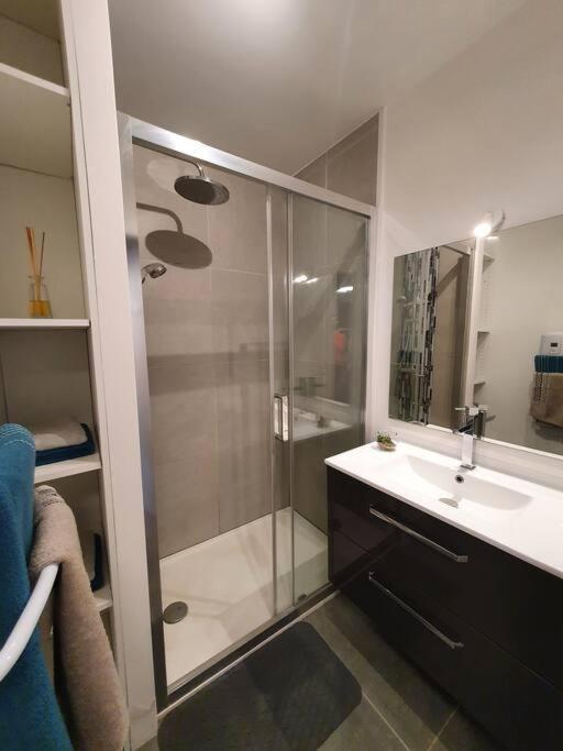 Appartement Centre Ville Au Calme Jardin Et Parking Public La Rochelle  Ngoại thất bức ảnh